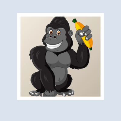 gorilla